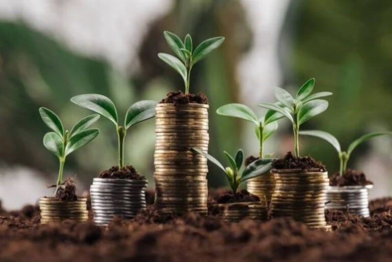 How to pick a long-term winner stock
