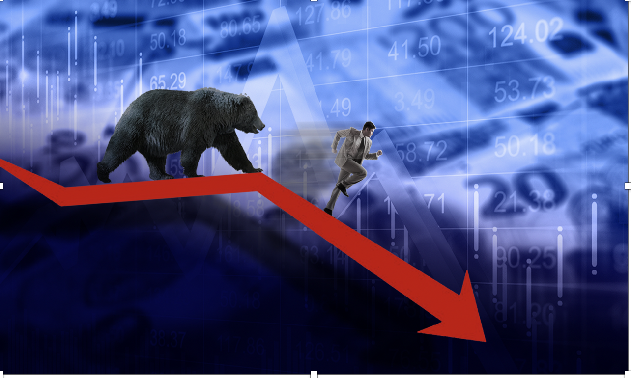 How to survive bear market ? MARKETFACTS ADVISORY SERVICES INC.