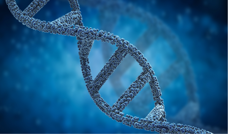 How the diversified business model of Catalent, Inc (XNYS:CTLT) provides a safe investment opportunity?