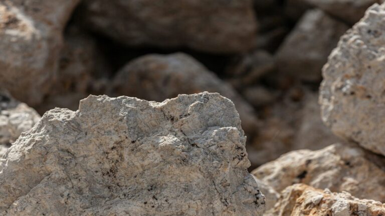 Arcadium Lithium plc (NYSE: ALTM): Key player in global clean energy transition