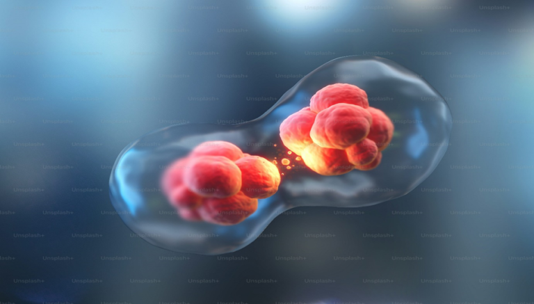 Bruker Corporation (NASDAQ: BRKR): A Leader in Scientific Innovation and Reliability