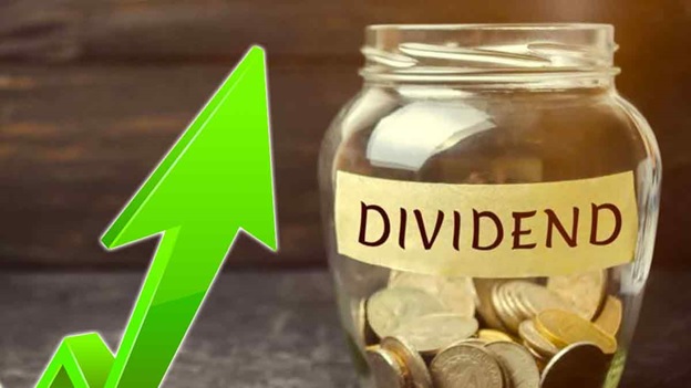 Dividend Income Report