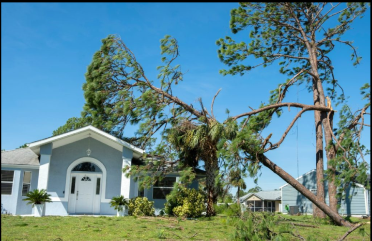 Universal Insurance Holdings Inc.: Specialty Property Insurance Focused on High-Risk Markets